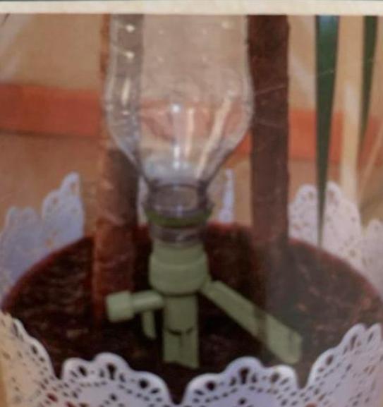 Plant Bewatering 12 stuks . Nieuw in dood., Tuin en Terras, Druppelsystemen, Nieuw, Ophalen of Verzenden