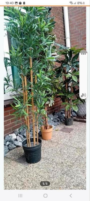 Kunstbomen - 3 stuks beschikbaar voor biedingen