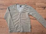Grijze Wild Vest Maat 110/116, Kinderen en Baby's, Kinderkleding | Maat 116, Jongen of Meisje, Trui of Vest, Ophalen of Verzenden