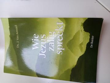 J. van Amstel - Wie Jezus zalig spreekt beschikbaar voor biedingen