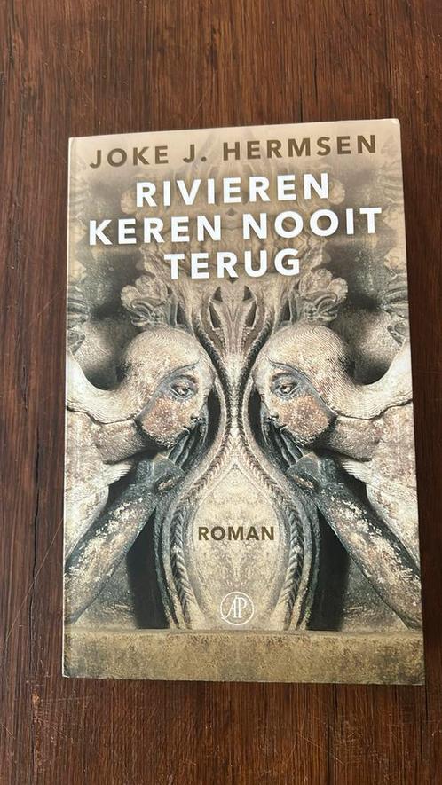Joke J. Hermsen - Rivieren keren nooit terug, Boeken, Literatuur, Zo goed als nieuw, Nederland, Ophalen of Verzenden