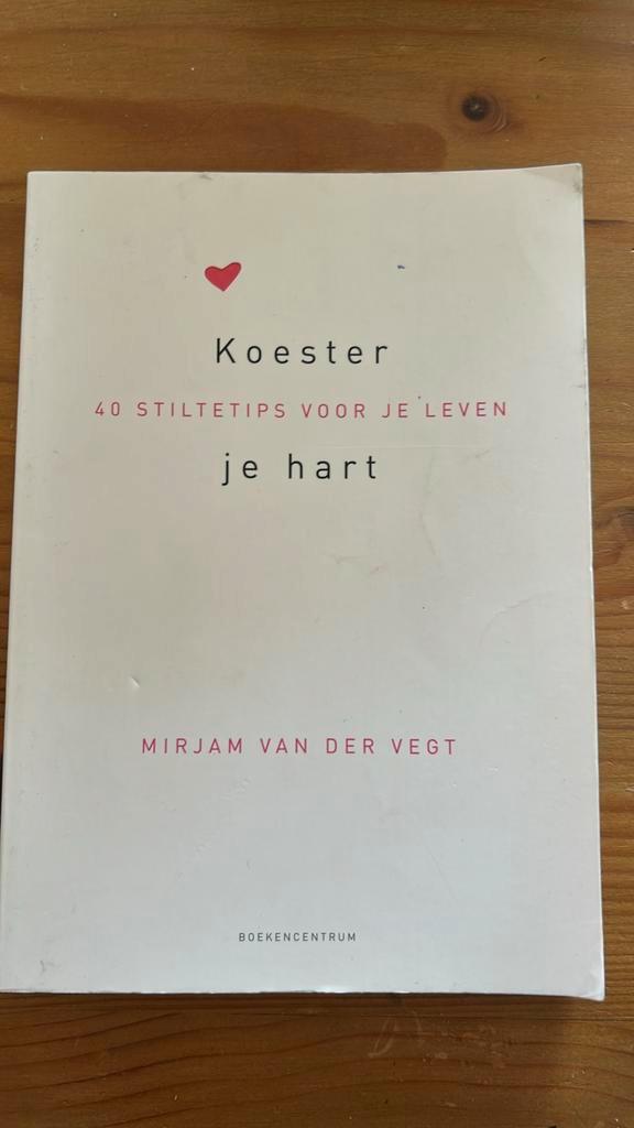 Mirjam van der Vegt - Koester je hart, Boeken, Godsdienst en Theologie, Zo goed als nieuw, Ophalen of Verzenden