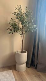 Bloempot lione beige 34 cm + olijfboom 150 cm, Steen, Rond, Binnen, Zo goed als nieuw