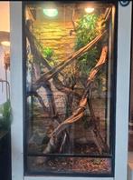 Reptielen kast, Dieren en Toebehoren, Reptielen en Amfibieën | Toebehoren, Ophalen, Zo goed als nieuw, Terrarium of Paludarium