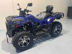 DW ATV 300cc Quad, Motoren, Quads en Trikes