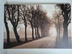 Ikea canvas Pjätteryd - weg met bomen, Ophalen, Zo goed als nieuw, Schilderij, 100 tot 125 cm