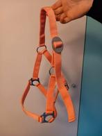 Roze halster maat pony, Ophalen of Verzenden, Zo goed als nieuw, Overige soorten