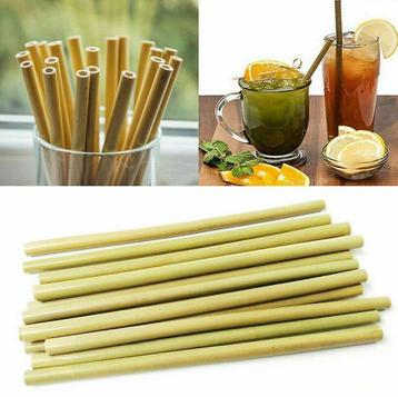 10 Herbruikbare Bamboe Rietjes mèt Schoonmaak borstel
