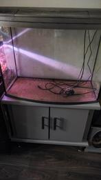 Tetra AquaArt Discovery Line LED Aquarium, Dieren en Toebehoren, Vissen | Aquaria en Toebehoren, Ophalen