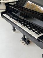 Zelfspelende vleugel zwart of wit - direct uit voorraad, Zwart, Nieuw, Ophalen of Verzenden, Hoogglans