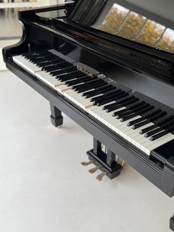 Zelfspelende vleugel zwart of wit - direct uit voorraad beschikbaar voor biedingen