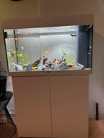 aquarium, Dieren en Toebehoren, Ophalen of Verzenden, Zo goed als nieuw, Leeg aquarium