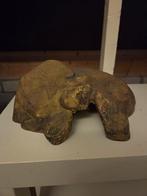 Terrarium huisje, Ophalen