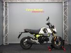 Honda MSX 125 Grom, Bedrijf, Naked bike