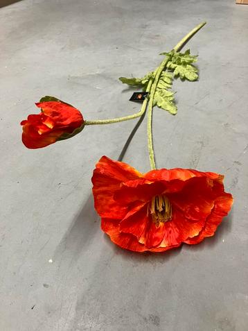 6 stuks dubbele oranje klaprozen/papaver NIEUW. beschikbaar voor biedingen