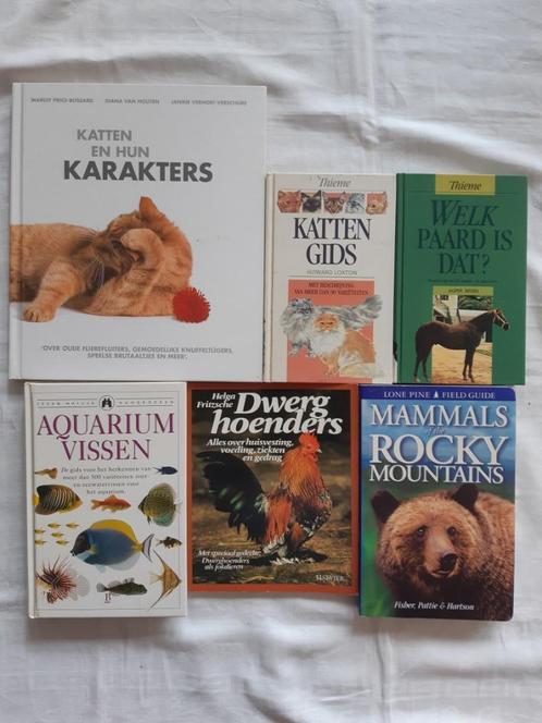 Huisdier: kat paard aquariumvissen dwerghoenders, Boeken, Dieren en Huisdieren, Gelezen, Katten, Ophalen of Verzenden