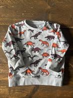 Trui dino’s, Ophalen of Verzenden, Gebruikt, Jongetje, Truitje of Vestje