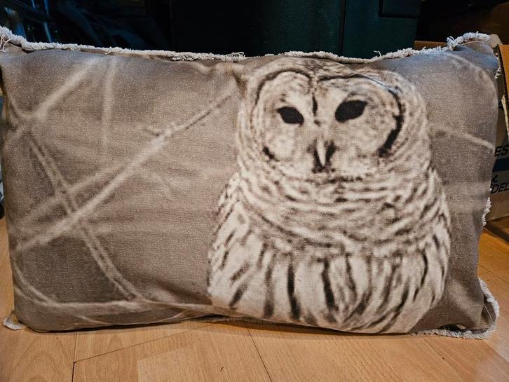 Kussen met uilenprint, Huis en Inrichting, Woonaccessoires | Kussens, Zo goed als nieuw, Grijs, Rechthoekig, Ophalen of Verzenden