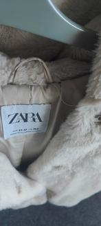 Zara Teddybeer Jas - Maat 152, Kinderen en Baby's, Kinderkleding | Maat 146, Meisje, Ophalen of Verzenden, Zo goed als nieuw, Zara