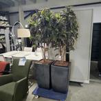 Diverse grote kunstplanten in hoge pot voor kantoor, woning, Ophalen of Verzenden, Gebruikt