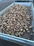 Aardappelen te koop., Ophalen, Nieuw, Boerderijdier, Overige typen