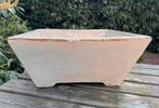 Bonsai schaal XL crème geglazuurd aardewerk 45,5x45x19, Tuin en Terras, Bloempotten, Ophalen, 40 cm of meer, Vierkant, Zo goed als nieuw