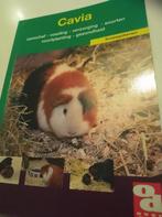 De cavia, Ophalen of Verzenden, Zo goed als nieuw