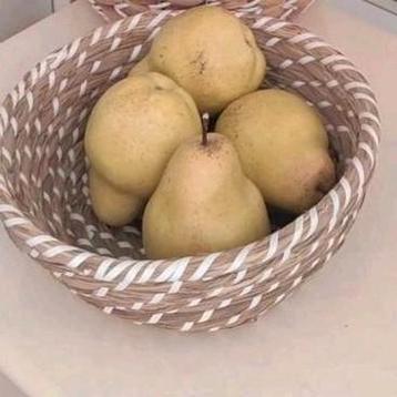 Rieten fruitmand mand naturel -wit 28 x 10 cm beschikbaar voor biedingen