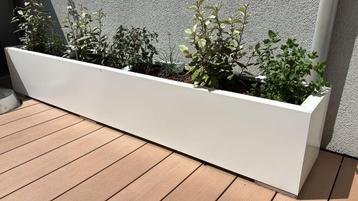 Plantenbakken  beschikbaar voor biedingen