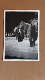 Circus/ Frieda Sembach-Krone met olifanten., Ophalen of Verzenden, Zo goed als nieuw