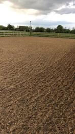 Stal met weidegang, Dieren en Toebehoren, Weidegang, 1 paard of pony