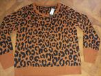 Pescara trui maat L, Maat 38/40 (M), Bruin, Pescara, Nieuw