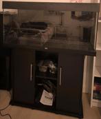 Aquarium 180L met onderkast incl. benodigdheden, Dieren en Toebehoren, Vissen | Aquaria en Toebehoren, Ophalen, Leeg aquarium