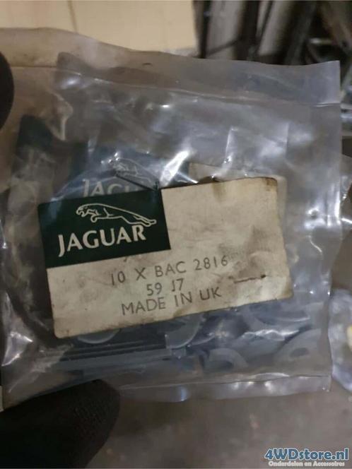Glass Clip 10x Jaguar XJ6 - XJ12 - BAC2816, Auto diversen, Auto-accessoires, Nieuw, Ophalen of Verzenden