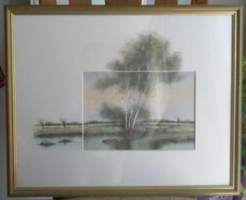 SCHILDERIJ - AQUAREL , mooi ingelijst  (zo goed als nieuw) beschikbaar voor biedingen