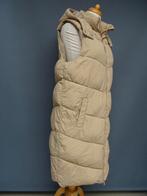PIECES maat XL, lange hoodie bodywarmer., Beige, Maat 46/48 (XL) of groter, Ophalen of Verzenden, Zo goed als nieuw