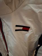 Tommy hilfiger, Kleding | Dames, Jassen | Winter, Ophalen of Verzenden, Zo goed als nieuw, Blauw