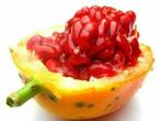 Red Sugar Passievrucht zaden
vrij zeldzaam en bijna nergens, Ophalen of Verzenden, Voorjaar, Volle zon, Zaad