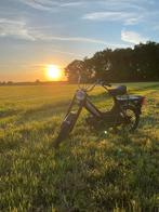 Tomos, Fietsen en Brommers, Brommers | Tomos, Ophalen of Verzenden, Zo goed als nieuw, Standard