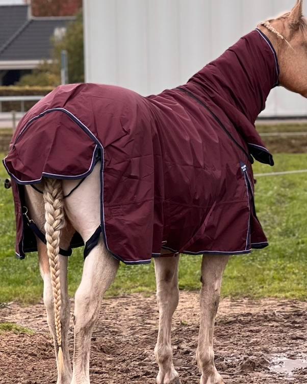 100 gram deken maat 185, met en zonder hals, Dieren en Toebehoren, Paarden en Pony's | Dekens en Dekjes, Zo goed als nieuw, Ophalen of Verzenden