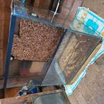 Leeg paludarium , plantenkas of als aquarium, Ophalen, Zo goed als nieuw