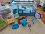 Grote hamsterkooi met extra's, Dieren en Toebehoren, Knaagdieren en Konijnen | Hokken en Kooien, Minder dan 60 cm, Kooi, Minder dan 75 cm
