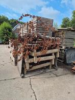Haardhout, lege kisten hout, Minder dan 3 m³, Ophalen, Overige houtsoorten, Blokken