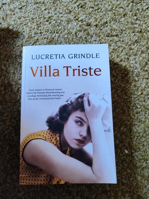 Lucretia Grindle - Villa Triste, Boeken, Literatuur, Zo goed als nieuw, Nederland, Ophalen of Verzenden