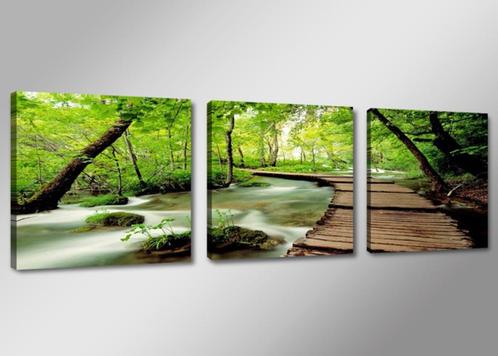 Nieuw * 3 Luik van Canvas * Natuur 50x150cm, Antiek en Kunst, Kunst | Schilderijen | Klassiek, Ophalen of Verzenden