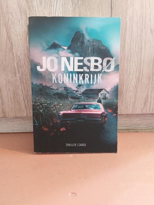Koninkrijk, Boeken, Thrillers, Gelezen, Scandinavië, Ophalen of Verzenden