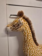 Albert Heijn grote giraf knuffel 68 cm, Kinderen en Baby's, Speelgoed | Knuffels en Pluche, Ophalen of Verzenden