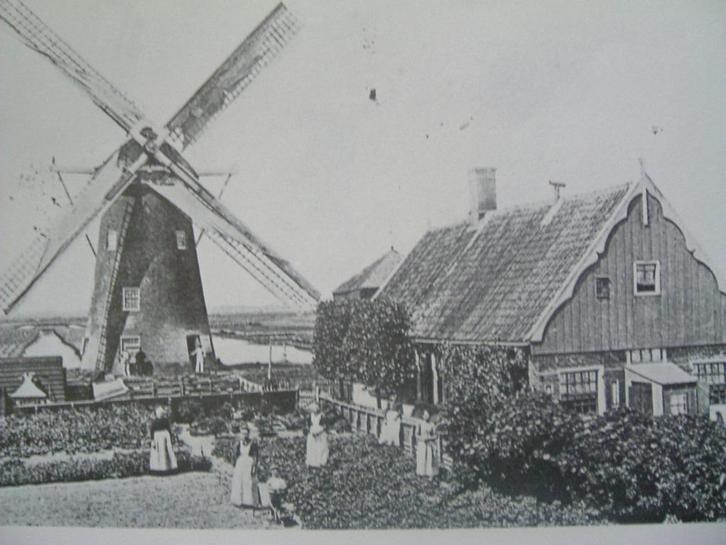 Molens in Noord-Holland in oude ansichten, Boeken, Geschiedenis | Stad en Regio, Zo goed als nieuw, 20e eeuw of later, Ophalen of Verzenden