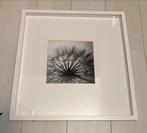 Twee IKEA wissellijsten met afbeeldingen, Ophalen, 50 tot 75 cm, Zo goed als nieuw, Foto of Poster