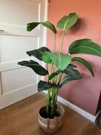 Kunstplant / Nepplant Strelitzia 110cm, Ophalen, Zo goed als nieuw